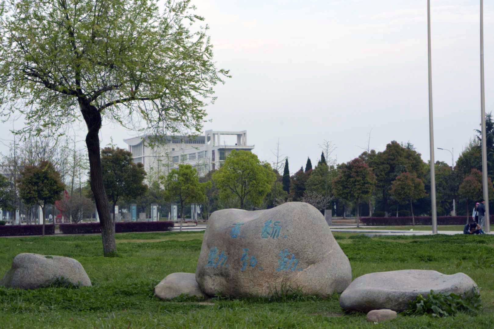 Synthetic Dream Lawns