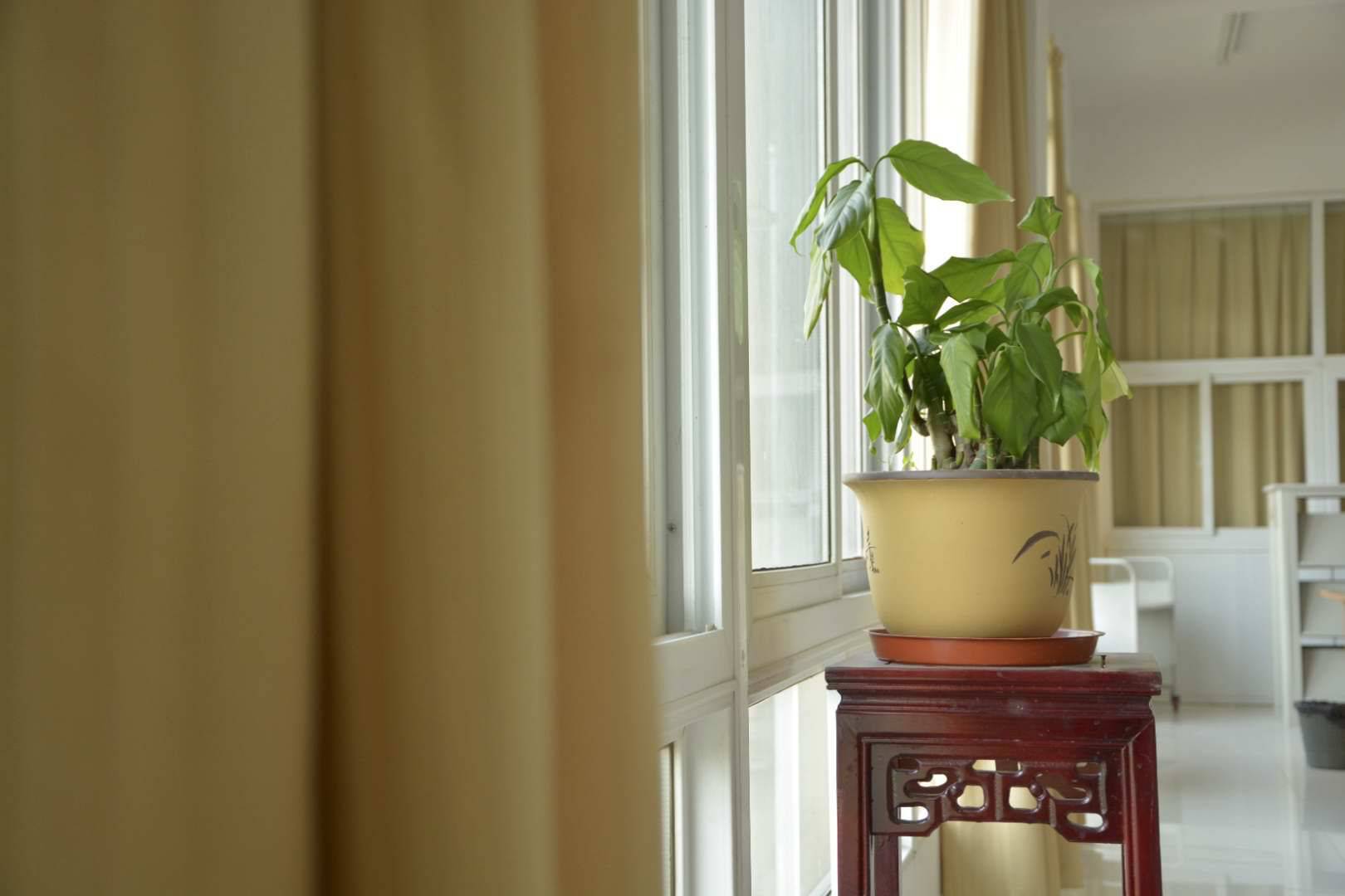 Barton Dam, Ann Arbor, Michigan